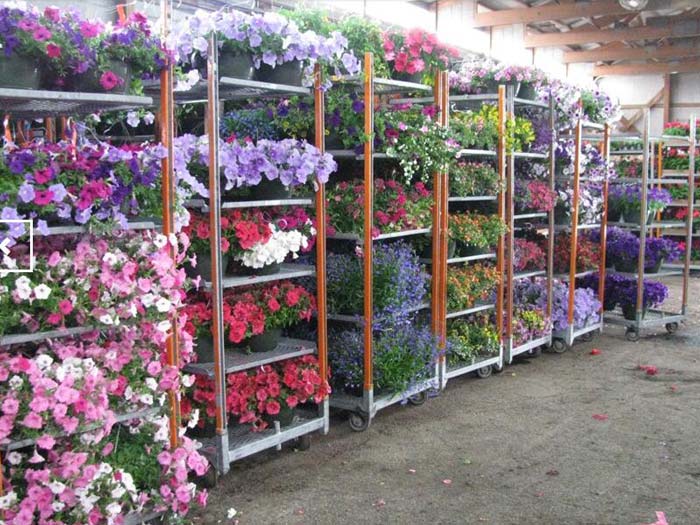 greenhouse flower cart