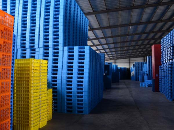 Can palletized shelves store goods beyond pallets
