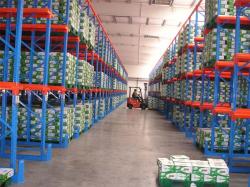 Drive in pallet racking storage system used for cold warehouse