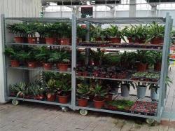 Greenhouse Light Duty Rolling Dutch Metal Flower Trolleys